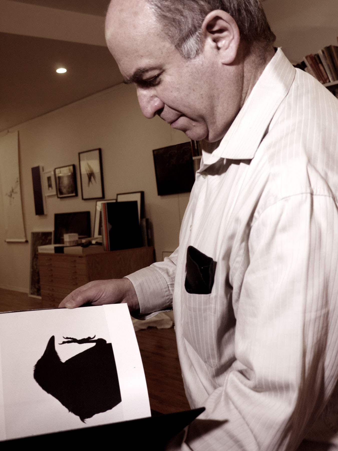 David solo look at Ravens. Photo by Barbara Confino. David Solo looks at Ravens. Photo by Barbara Confino.